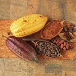 Cocoa Extracts