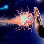 body's immune response to cancer