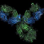 Pembrolizumab for HER2 Positive Gastric Cancer