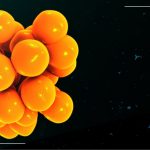 asthma exacerbations