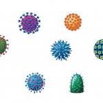 various types of viruses