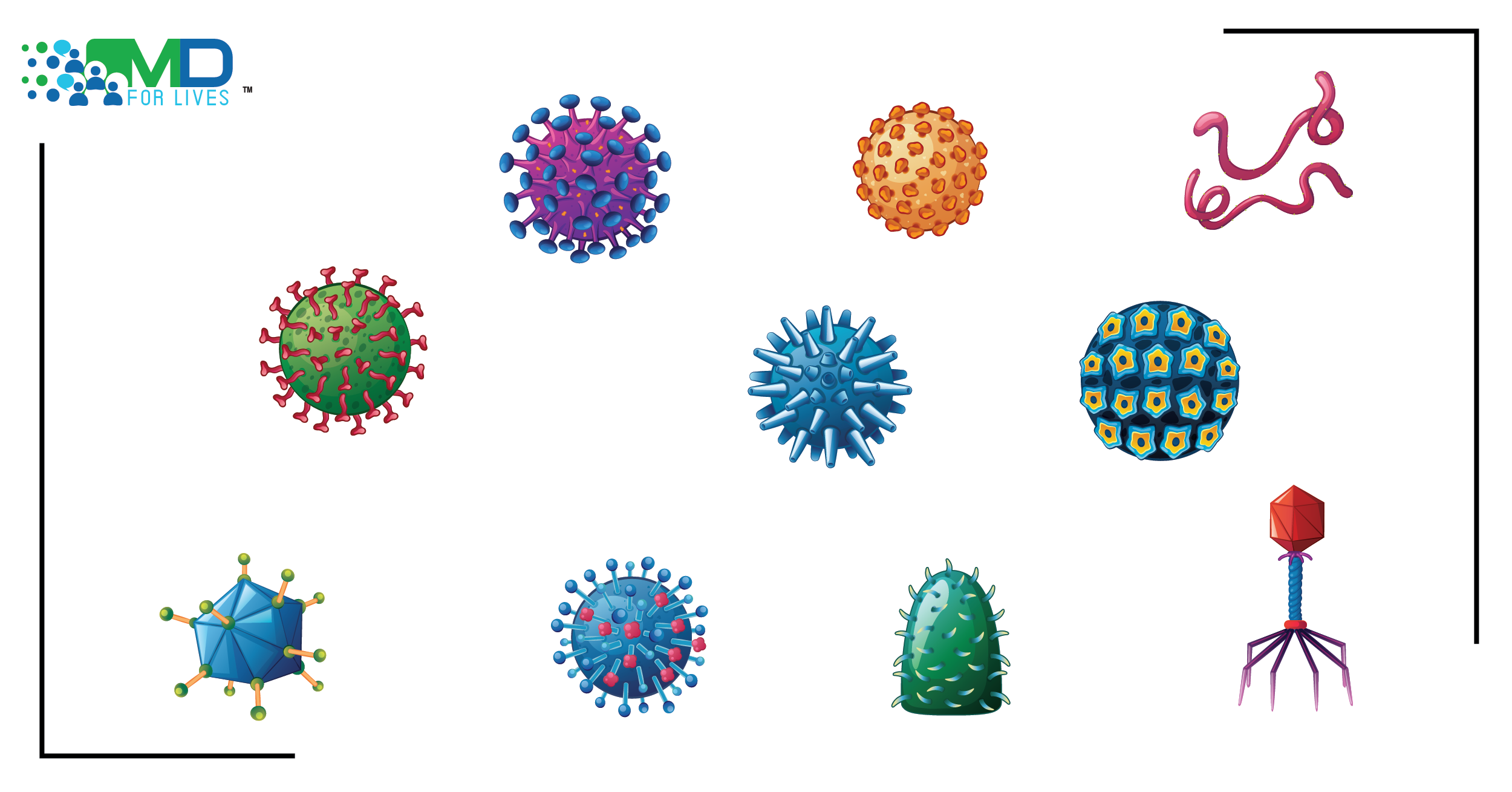various types of viruses
