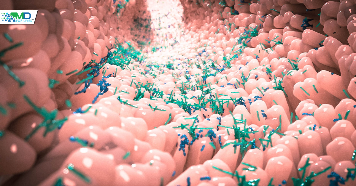 Microbiota effect on C. difficile virulence in mice