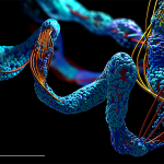 MDFL- 1200x628_amino acid sensor
