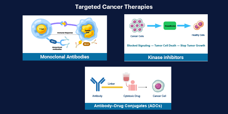 Types of Targeted Therapies