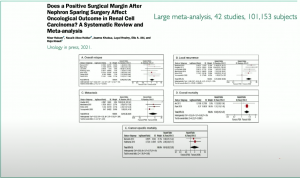Decision making pathways around Nephron-Sparing Renal Surgery