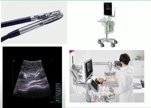 Decision making pathways around Nephron-Sparing Renal Surgery