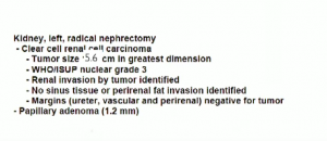 Decision making pathways around Nephron-Sparing Renal Surgery