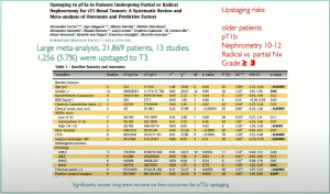 Decision making pathways around Nephron-Sparing Renal Surgery
