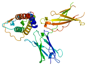 Dupilumab becomes the first FDA-approved drug for eosinophilic esophagitis