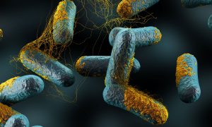 Bioterrorism: The greatest threat to life on earth