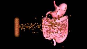 Klebsiella aerogenes: The culprit behind flare-up of pains in irritable bowel syndrome patients