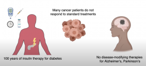 How stem cells can help us in the future?