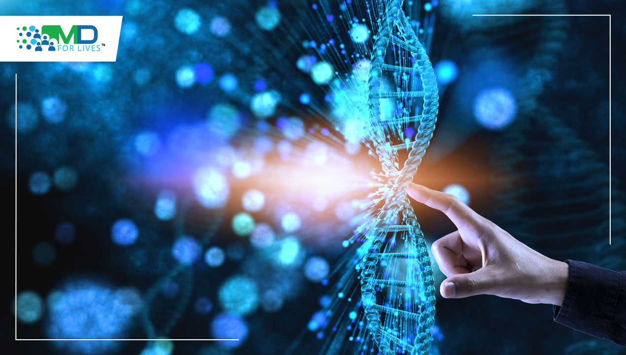 How stem cells can help us in the future?