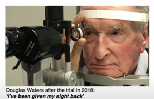 How stem cells can help us in the future?