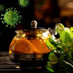 Are natural compounds effective against Coronavirus?