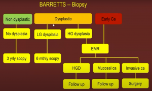 Barrett’s disease