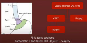 proximal stomach