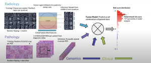 sampling strategy and patient-level prediction in radiology and pathology