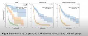 risk stratification vs clinical markers