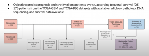 patient selection flowchart