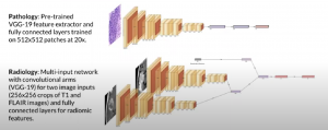 unimodal embeddings