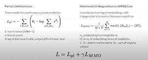 assessment of loss functions