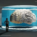 'Brainier' lab-grown brain organoids