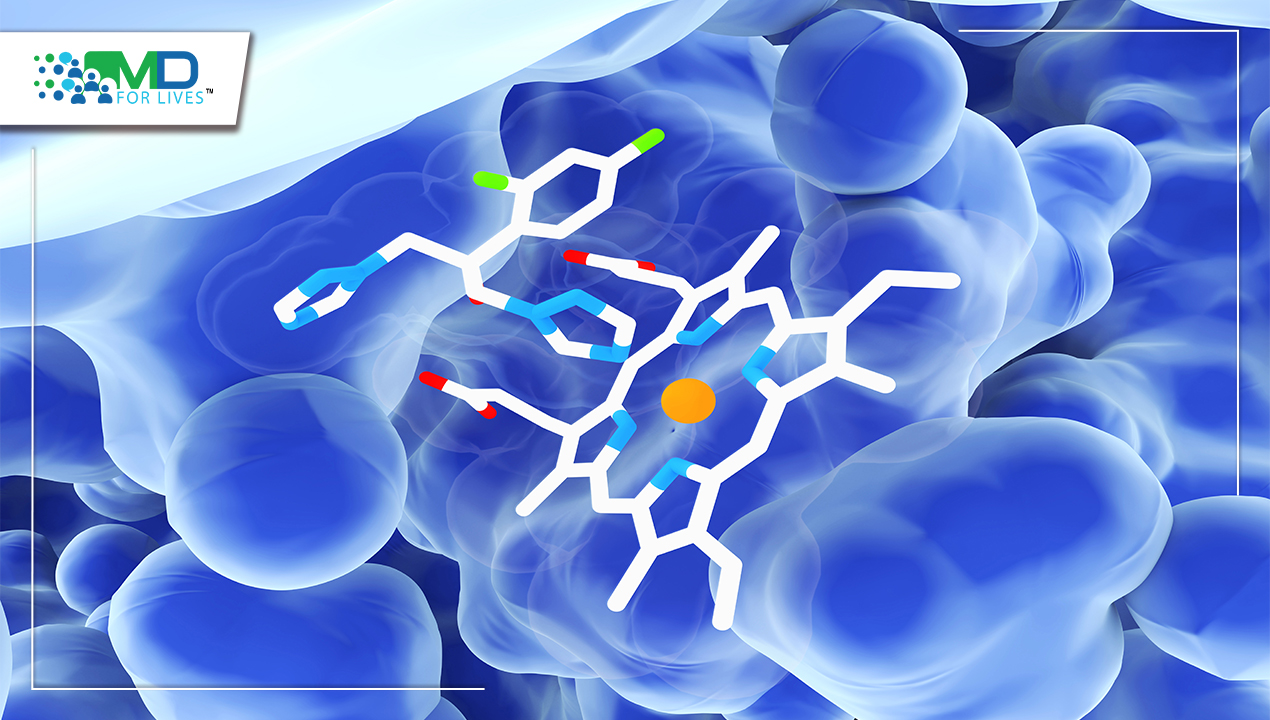 A recently discovered protein may be utilised to create life-saving antifungals