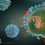 Black Death influenced the evolution of immune genes