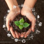 'Life-saving' real-time air quality data