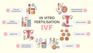 in vitro fertilization ivf vector circle