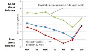 Association between physical activity and stress balance