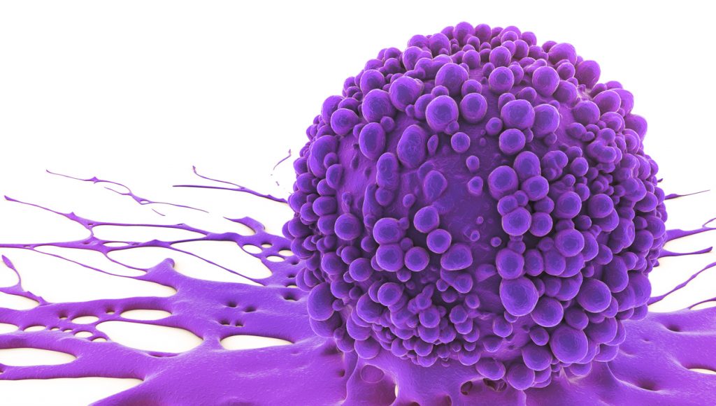 tumor agnostic therapy