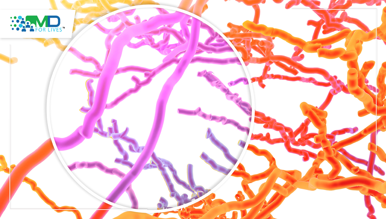 Researchers Unveil the First-Ever Complete Map of Drosophila Larvae