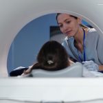 Childhood headache - when to order ‘CT head.’
