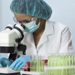 Unleashing the Potential of Fruit Flies in Biomedical Research: Inviting Medical Professionals to Share Insights