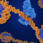 Aberrant DNA methylation in tumor biology