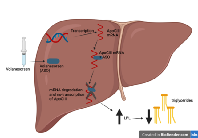 change in ApoC3 level 