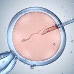 World IVF Day