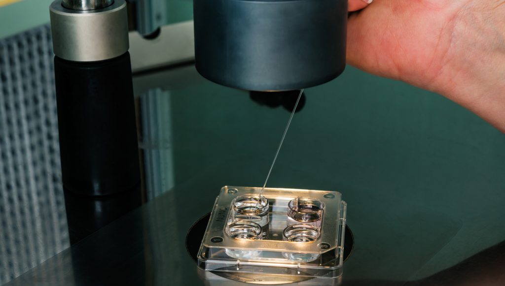 Vitrification