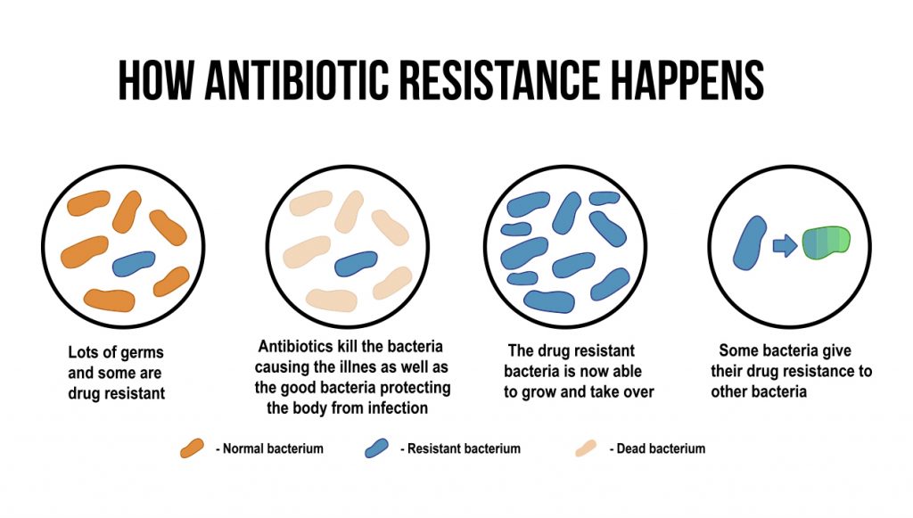 Antimicrobial Resistance