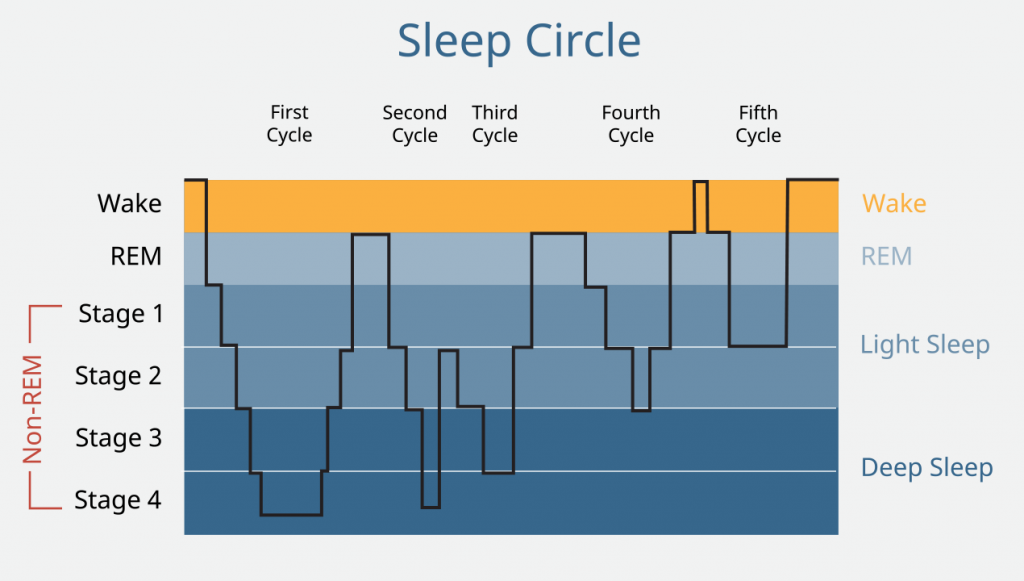 sleep-related epilepsy