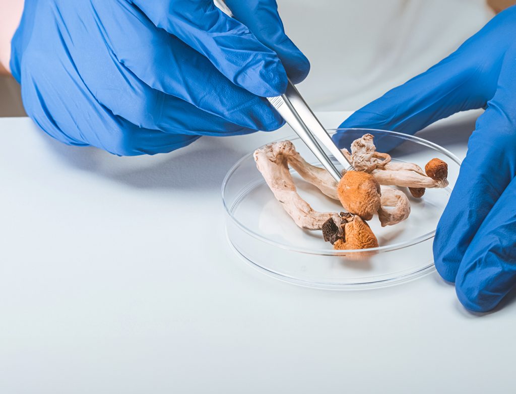 psychedelics for mental health