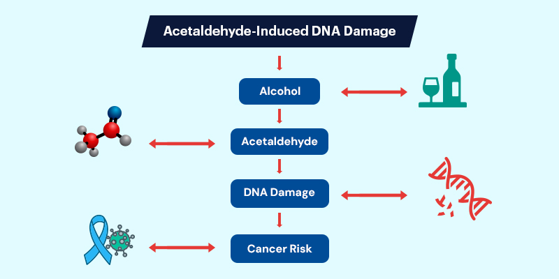 Acetaldehyde Induced DNA Damage