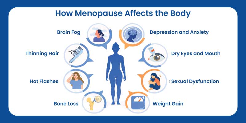 How menopause affects the body including hormonal changes, temperature regulation, and metabolism