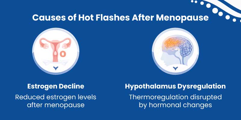 Causes of hot flashes after menopause including estrogen decline and hypothalamus dysregulation 