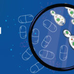Illustration showing antibiotics disrupting gut microbiome balance