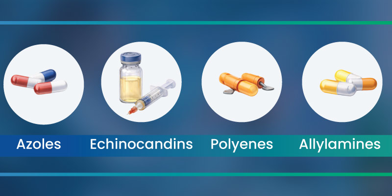 infographic showing antifungal drugs classification