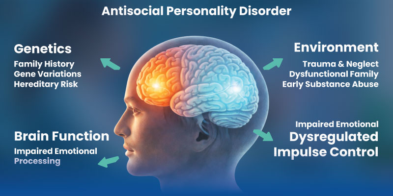 Diagram explaining causes of antisocial personality disorder including genetics and environment